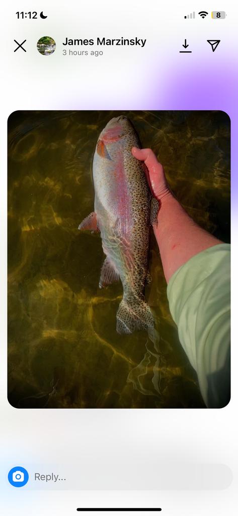 HUGE RAINBOW ON A DSP NYMPH!