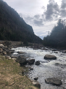 Ausable UPDATE 5/4/22