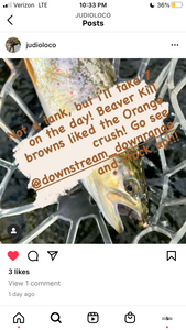 Beaver kill Catskill / orange crush success